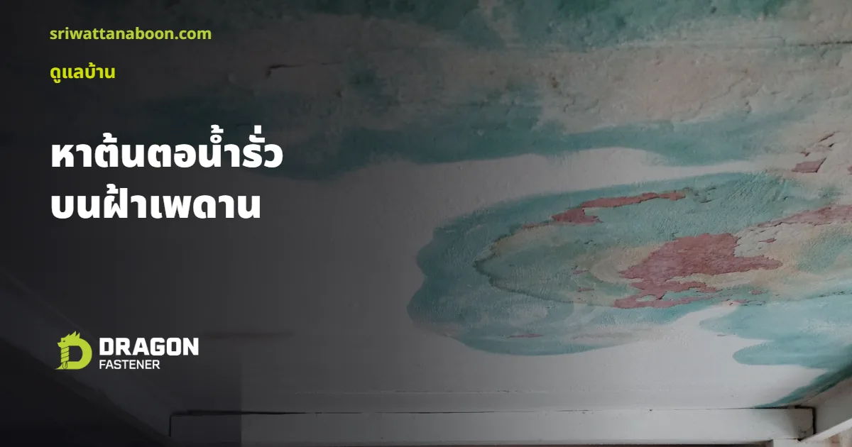 คราบน้ำรั่วซึมบนฝ้าเพดาน