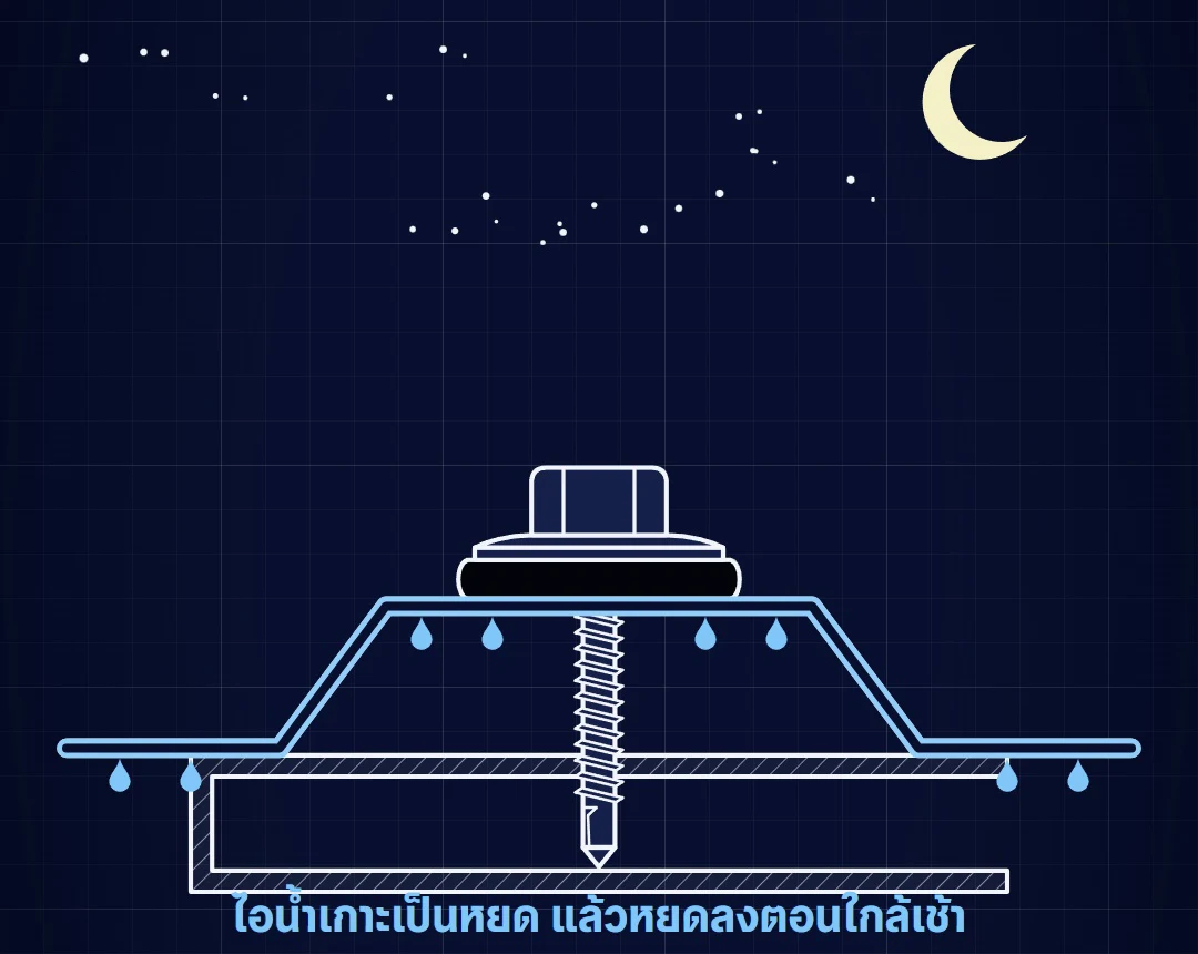 ภาพตัดหลังคาเมทัลชีทตอนกลางคืน ไอน้ำกลั่นตัวเป็นหยดน้ำใต้แผ่นหลังคาที่เย็น